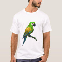 Geometric Parrot
