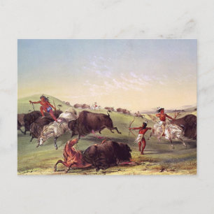 George Catlin - Buffalo Hunt Postcard