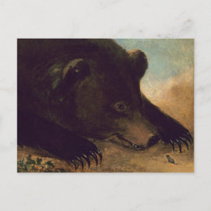 George Catlin - Grizzly Bear and Mouse Postcard