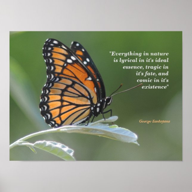 George Santayana Quote On Nature Poster (Front)