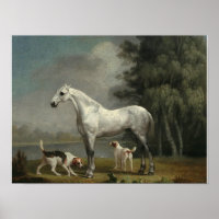 George Stubbs - A Dapple Grey Hunter