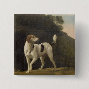 George Stubbs   A Foxhound, c.1760 (oil on paper l 15 Cm Square Badge