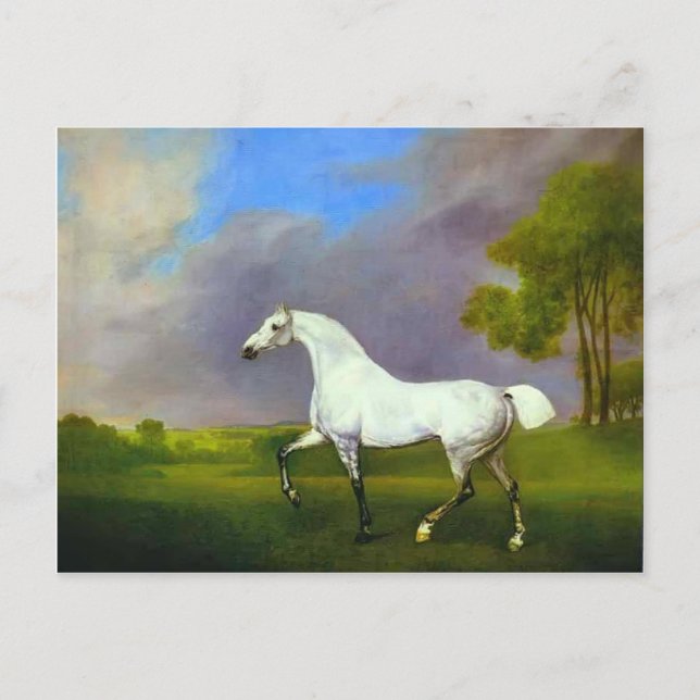 George Stubbs- A Grey Horse Postcard (Front)