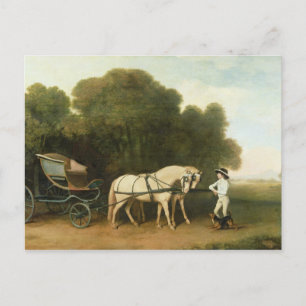 George Stubbs A Phaeton with a Pair of Cream Pon Postcard