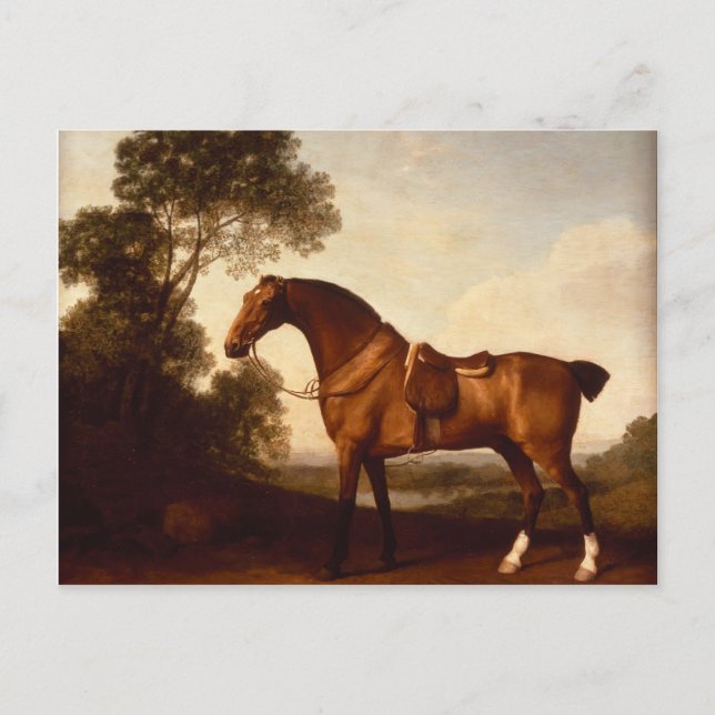 George Stubbs- A Saddled Bay Hunter Postcard (Front)