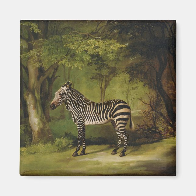 George Stubbs | A Zebra, 1763 (oil on canvas) Magnet (Front)