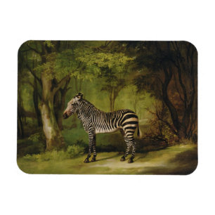 George Stubbs A Zebra, 1763 (oil on canvas) Magnet