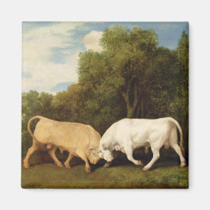 George Stubbs Bulls Fighting, 1786 (oil on panel Magnet