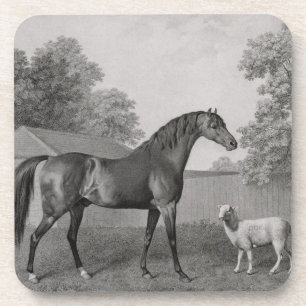 George Stubbs Dungannon, engraved by George Town Coaster