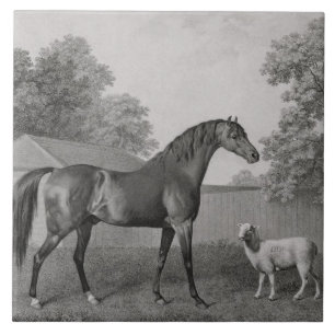 George Stubbs   Dungannon, engraved by George Town Tile