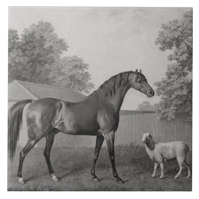 George Stubbs | Dungannon, engraved by George Town Tile (Front)