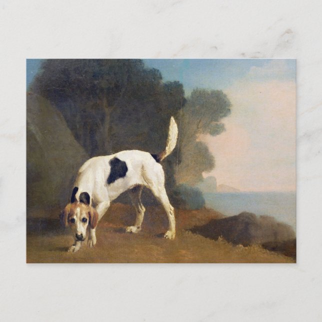 George Stubbs | Foxhound on the Scent, c.1760 (oil Postcard (Front)