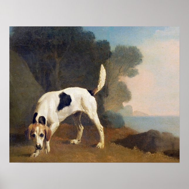 George Stubbs | Foxhound on the Scent, c.1760 (oil Poster (Front)