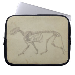 George Stubbs Lateral View of a Tiger Skeleton, Laptop Sleeve