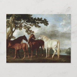 George Stubbs-Mares and Foals in a River Landscape Postcard