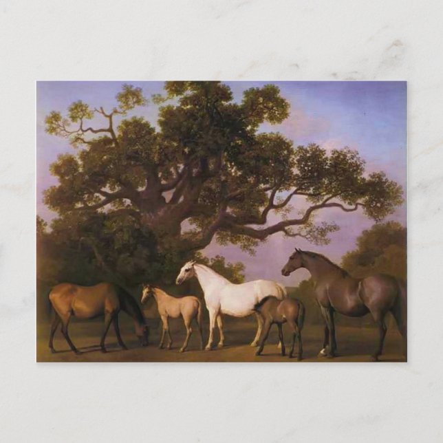 George Stubbs- Mares and Foals under an Oak Tree Postcard (Front)