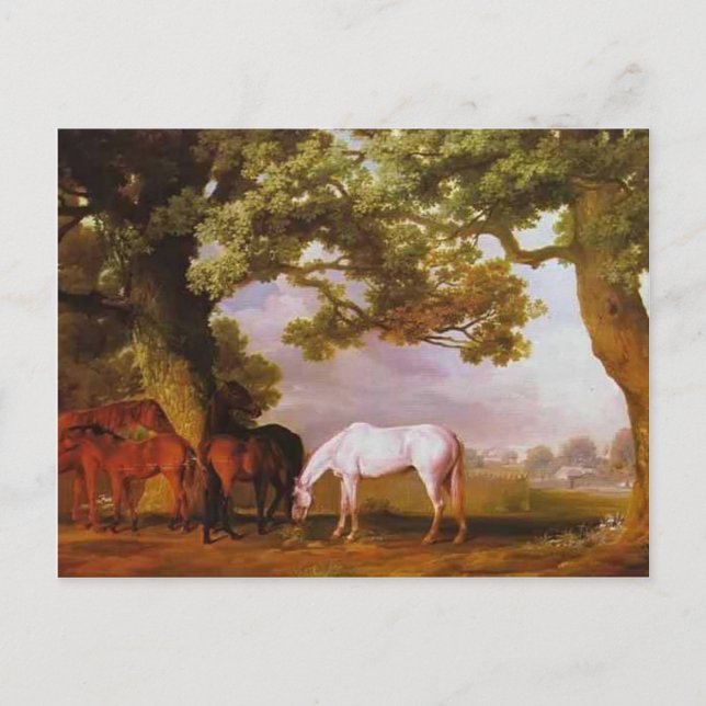 George Stubbs- Mares & Foals in a Wooded Landscape Postcard (Front)