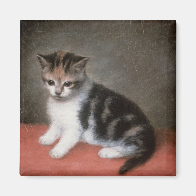 George Stubbs | Miss Ann White's Kitten, 1790 Magnet (Front)