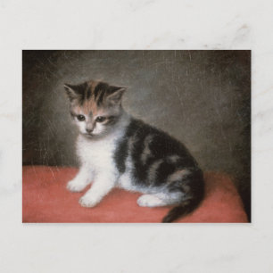 George Stubbs Miss Ann White's Kitten, 1790 Postcard
