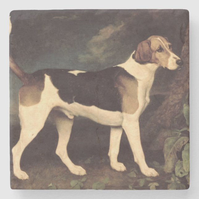 George Stubbs | Ringwood, a Brocklesby Foxhound, 1 Stone Coaster (Front)