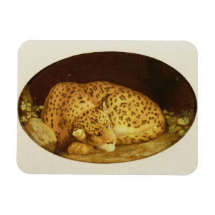 George Stubbs Sleeping Leopard, 1777 (enamel on Magnet