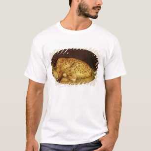 George Stubbs Sleeping Leopard, 1777 (enamel on T-Shirt
