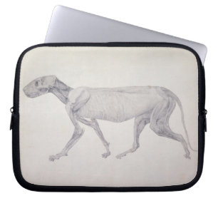 George Stubbs Tiger: Lateral View, Partially Dis Laptop Sleeve