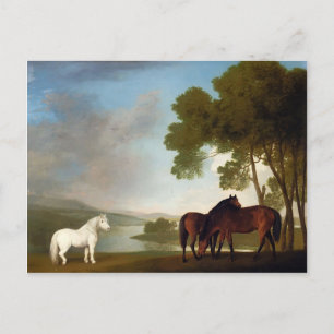 George Stubbs- Two Bay Mares And a Grey Pony Postcard