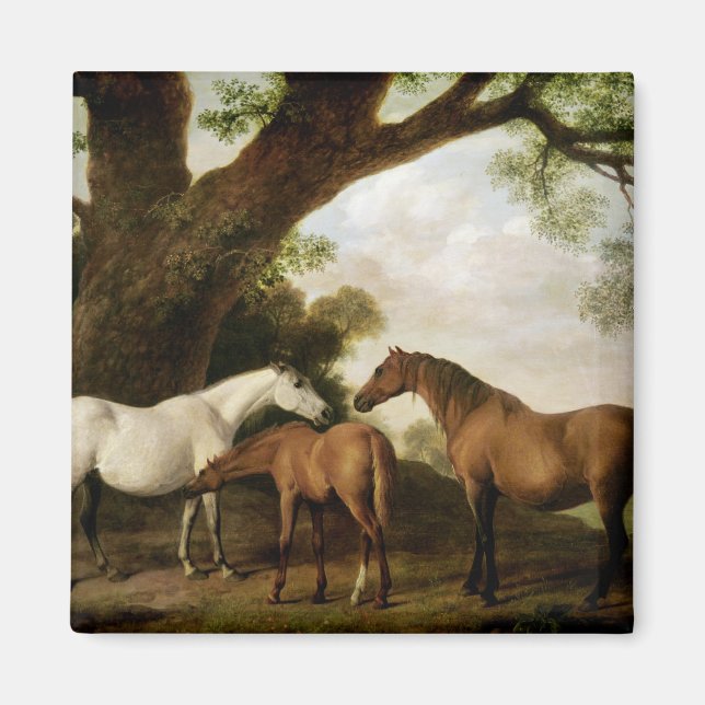 George Stubbs | Two Shafto Mares and a Foal, 1774 Magnet (Front)