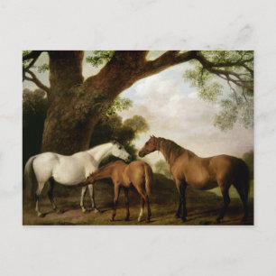 George Stubbs Two Shafto Mares and a Foal, 1774 Postcard