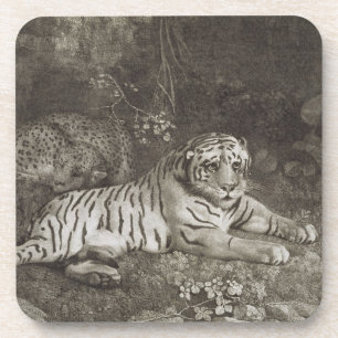 George Stubbs Two Tygers, engraved by the artist Coaster