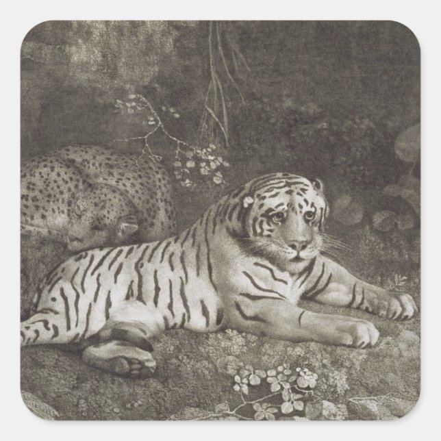 George Stubbs | Two Tygers, engraved by the artist Square Sticker (Front)