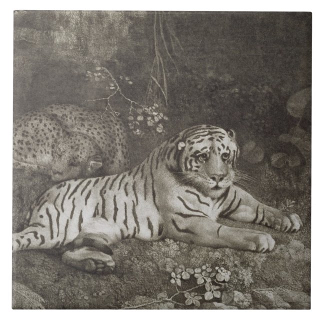 George Stubbs | Two Tygers, engraved by the artist Tile (Front)