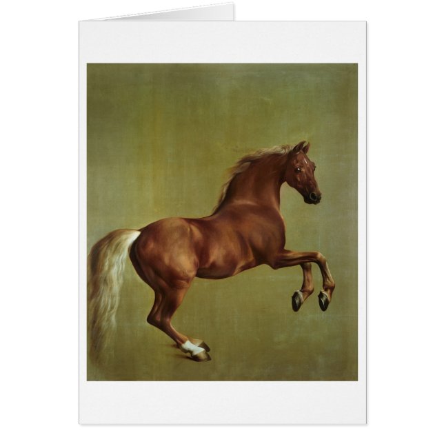 George Stubbs | Whistlejacket, 1762 (Front)