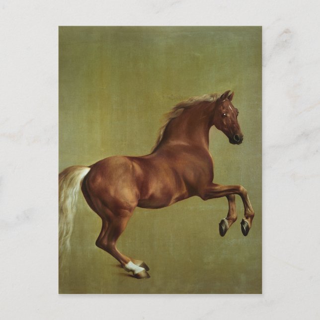 George Stubbs | Whistlejacket, 1762 Postcard (Front)