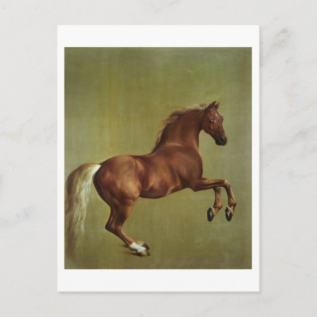George Stubbs | Whistlejacket, 1762 Postcard (Front)