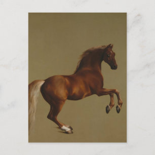 George Stubbs- Whistlejacket Postcard