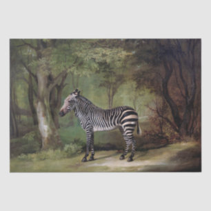 George Stubbs   Zebra (1763) Tissue Paper