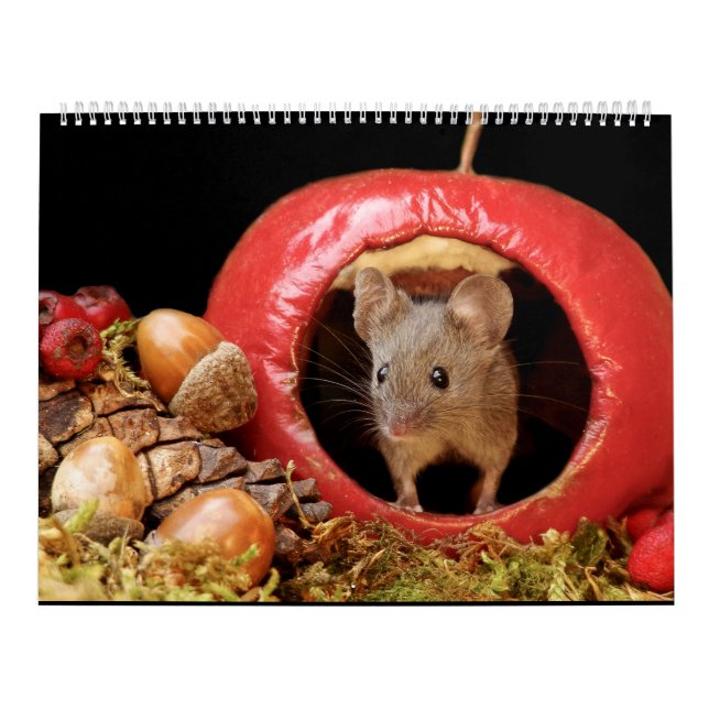 George the mouse in a log pile house 2022 calendar (Cover)