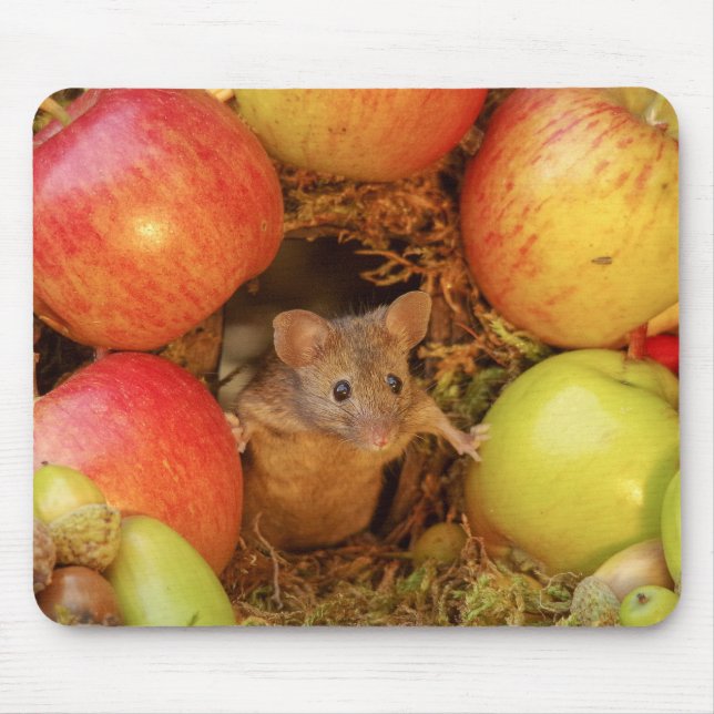 George the mouse mat (Front)