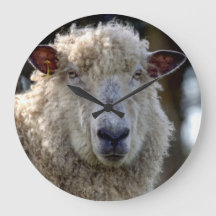 'George' The Sheep Photo Clock