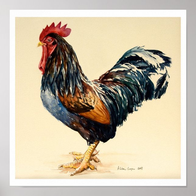 George's Cockerel 2007 Poster (Front)