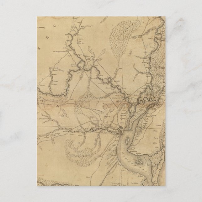 Georgetown District, South Carolina Postcard (Front)