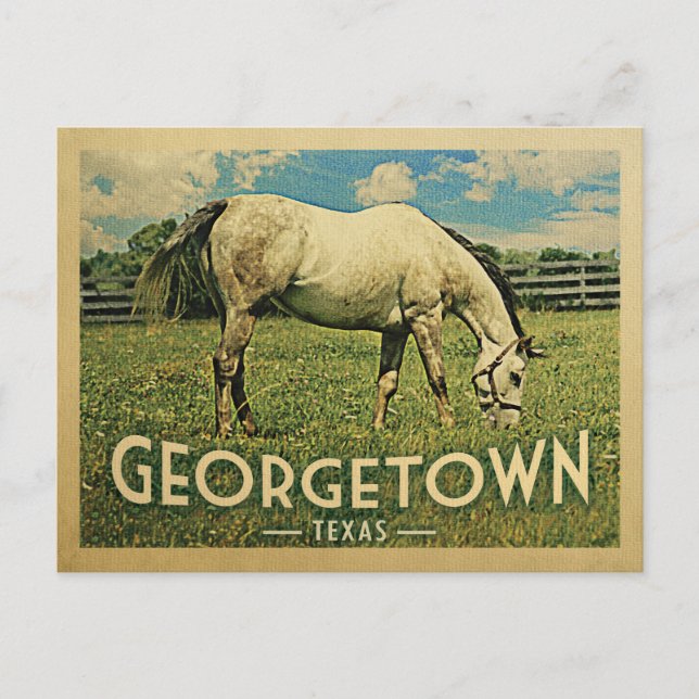 Georgetown Texas Horse Farm -Vintage Travel Postcard (Front)