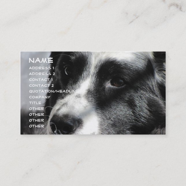 Georgia April 5 2009 012, Name, Address 1, Addr... Business Card (Front)