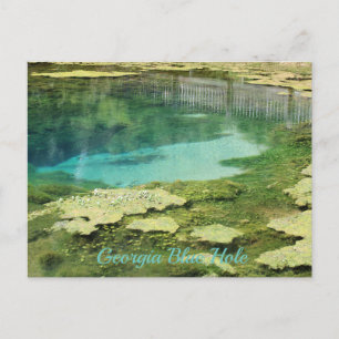 Georgia Blue Hole Postcard
