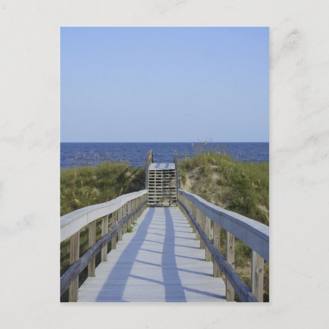 Georgia Boardwalk Postcard (Front)