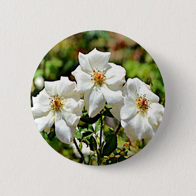 Georgia Cherokee Rose 2 6 Cm Round Badge (Front)