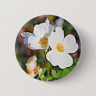 Georgia Cherokee Rose 6 Cm Round Badge