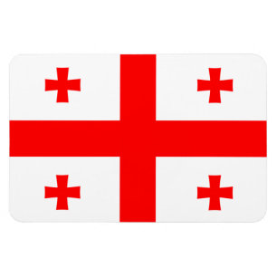 Georgia Flag Magnet
